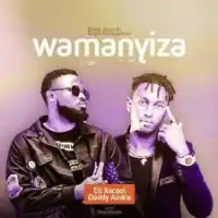 Wamanyiza Lyrics - Daddy Andre 