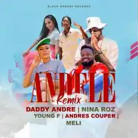 Andele (remix) - Daddy Andre ft. Nina Roz, Young F., Andres, Couper, Meli