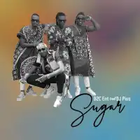 Sugar - B2C ft. DJ Pius