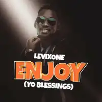 Enjoy (Yo Blessing) Lyrics - Levixone 