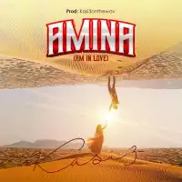 Amina (Am In Love) Lyrics - Kasi3 