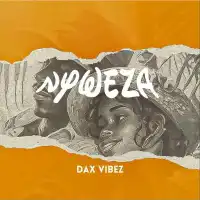 Nyweza - Dax Vibez 
