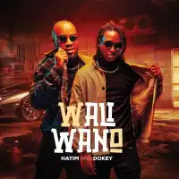 Wali Wano Lyrics - Hatim And Dokey 