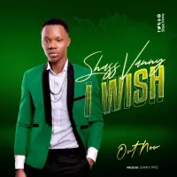 I Wish Lyrics - Shass Vanny 