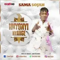 Nnyonyi Nyange Lyrics - Sama Sojah 