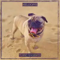 Neloopye - Topic Kasente 