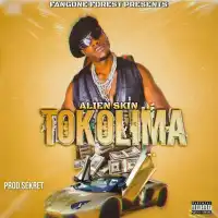 Tokolima Lyrics - Alien Skin 