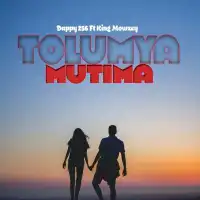 Tolumya Mutima Lyrics - Dappy 256 ft. King Mowzey