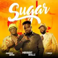 Sugar Lyrics - Herbert Skillz ft. Andrew Ripper, TBwoy