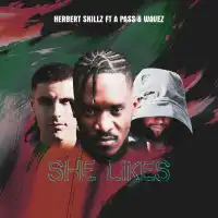 She Likes - Herbert Skillz ft. A Pass, Wavez