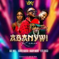 Abanywii (Remix) - Gael Will ft. Karole Kasita, Daddy Andre, Feffe Bussi