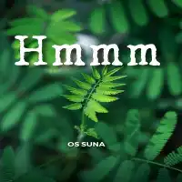 mmh mmh Lyrics - Os Suna 