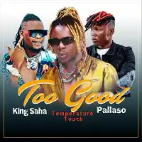 Too Good - Temperature Touch ft. King Saha and Pallaso