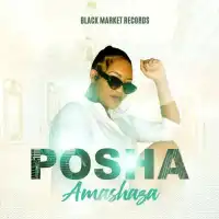 Amashaza - Posha 