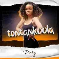 Tontankuula Lyrics - Pinky 