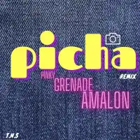 Picha (Remix) - Pinky, Grenade ft. Amalon