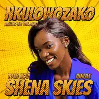 Nkulowozako Lyrics - Shena Skies 