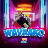 Wavako Lyrics - Feffe Bussi 