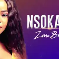 Nsokayo Lyrics - Zanie Brown 