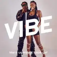 Vibe - Maro Uganda ft. Kapa  Cat