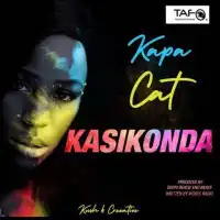 Kapa Cat