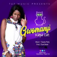 Gwomanyi - Kapa Cat 