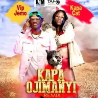 Kapa Ojimanyi (Remix ) Lyrics - Kapa Cat ft. VIP JEMO