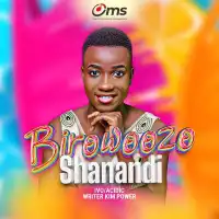 Birowoozo Lyrics - Shanandi 