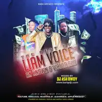 Best of Liam Voice, An-Known & Victor Ruz Nonstop (2021) - DJ Ash Bwoy 