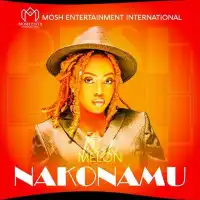 Nakonamu Lyrics - Pesh Melon 