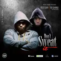 Don't Sweat It - DJ Shiru ft. Redsan