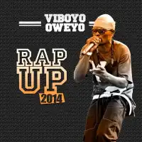 Rap Up 2014 Lyrics - Viboyo Oweyo 