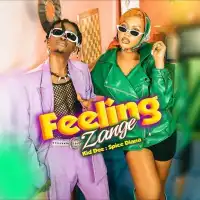 Feeling Zange - Kid Dee ft. Spice Diana