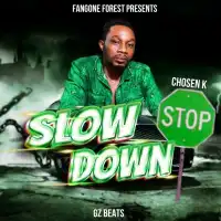 Slow Down Lyrics - Chosen K 