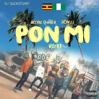 Pon Mi RMX Lyrics - Beenie Gunter ft. DJ Slick stuart, DJ Roja, Skales