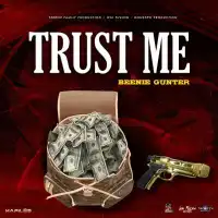 Trust Me (Trust Mi (Hot Tea Riddim)) Lyrics - Beenie Gunter 