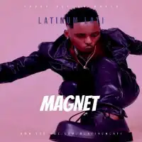 Magnet Lyrics - Latinum ft. Riddim K