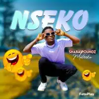 Nseko Lyrics - Shaba Poundz 