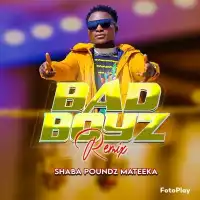 Bad Boys (Beamer) Remix Lyrics - Shaba Poundz 