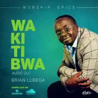 Wakitiibwa Lyrics - Brian Lubega 