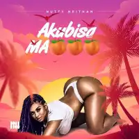 Akubisa (Clean) Lyrics - Nutty Neithan 