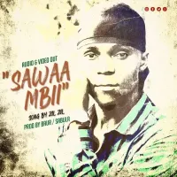 Saawa Mbi Lyrics - Zil Zil 