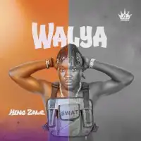 Walya Lyrics - King Zale 