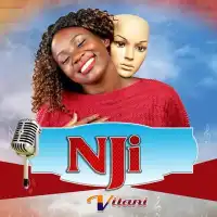 Vilani - Nji - Vilani ft. Mc Mariachi & Golola Moses