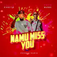 Namu Miss You - Chete Chete UG ft. Feffe Bussi