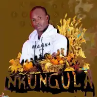 Nkungula Lyrics - CK Mathias 