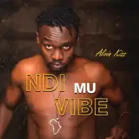 Ndi Mu Vybe Lyrics - Alvin Kizz 