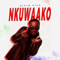 Nkuwaako - Alvin Kizz 