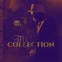 The Collection - Shon Wyz