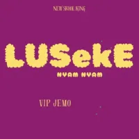 Luseke Lyrics - VIP Jemo 